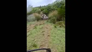Mountain biking with wild horse herd crossing river - thrilling, majestic, and unforgettable.