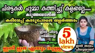 ചിരട്ട ഉണ്ടോ!.. ഈ കടുത്ത ചൂടിൽ ഇനി ഇല പറിച്ച് മടുക്കും/കറിയില പറിക്കാം/ ഈ സൂത്രം അറിഞ്ഞാൽ/super