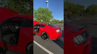 Cammed Custom 5.0 Mustang😳 Chop! Chop! #shorts #cammed #mustang #youtubeshorts