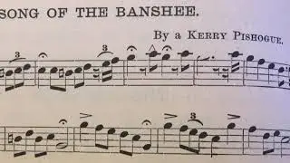 Song of the Banshee/Steve Wickham/ Screamer Novel Promo Video
