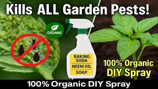 SECRET BAKING SODA HACK | ✅ DIY Organic Pesticide That Kills All Garden Pests