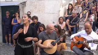 Ana Marta - 