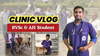 Veterinary Student #Clinic Vlog #1 || A Day in the life of veterinary Student