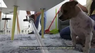 Deep Rug Cleaning Services Near Me Franklin Square, NY | 516 894 2919