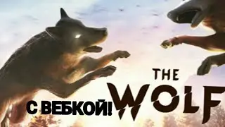 The Wolf Online simulator | Обзор | Почувствуй себя волком!