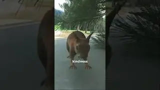 One Act of Kindness Saved His Life 😱