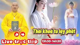 Trực Tiếp Lễ Phật 13H30 #thaynhuanthinh #layphat #niemphatthanhphat #loiphatday