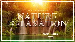 🟧Nature Healing Sound Therapy & Sound Meditation Sounds For Relaxation 2021