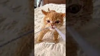 Knitted Cats are Awesome