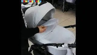 Детская коляска Rant Dream 3 в 1