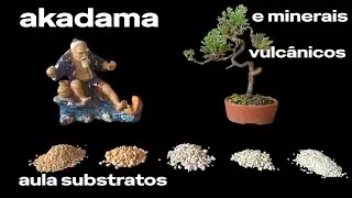 Substrate lesson 02, the best in the world
