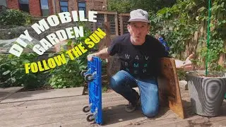 DIY MOBILE GARDEN: FOLLOW THE SUN.