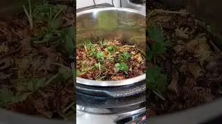 instant Chicken Biryani in Robo cook #trending #biryani #shorts #robocook #instantrecipe #nonveg