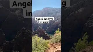 Angels Landing In Zion! 🤯 #shorts #angelslanding
