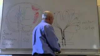 Brain and head injuries lesson 2, Introduction to lateralising signs