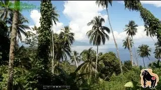 Selamatkan Yaki HD720