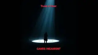 Canes Insaniunt - тьма и свет (официальный релиз)