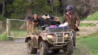 On Farm Safety