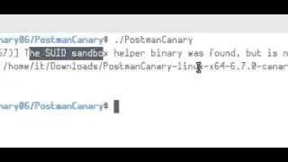 How to fix Postman Canary - The SUID sandbox helper binary was found but is not configured correctly
