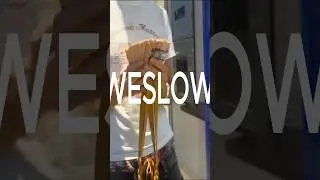 WESLOW - COMMENT TU FAIS CA?