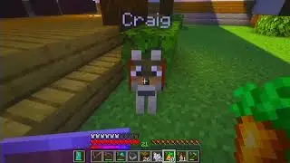 minecraft1