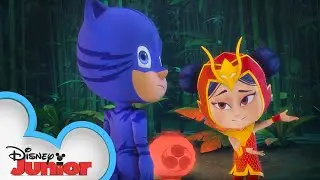 PJ Masks Surprise 🎁 | PJ Masks | Disney Junior