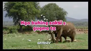 Lagkaw (Lyrics) Verni Gonzales | Armstv