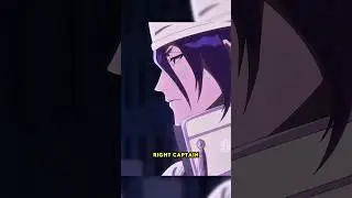 Byakuya Is Too Cold #bleachtybwedit #tybw #byakuya #aizen #sosukeaizen #shinji  #byakuyakuchiki