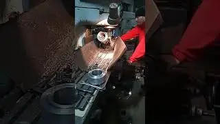 Canelare role granulator