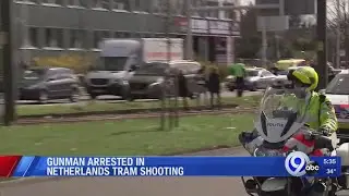 Gunman arrested in Netherlands shooting