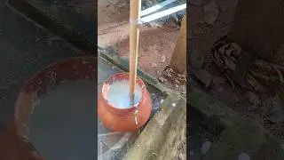 traditional method of making butter milk part 1/ how to make butter milk/#banuammachikitchen