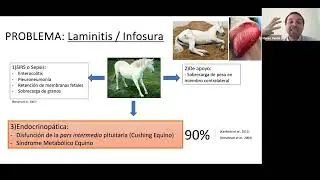 Dr. Mateo Pardi&eacute; .Obesidad y salud: Impacto en la salud equina.