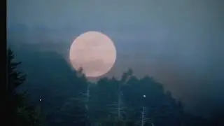 Phil Cook - I Made A Lovers Prayer