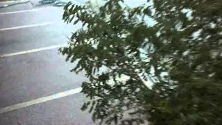 Helada y Frio en Torreon