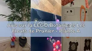 Avis sur la LEGO Botanicals Les Fleurs de Prunier - Plante Artificielle &agrave; Offrir - Set de Constructi