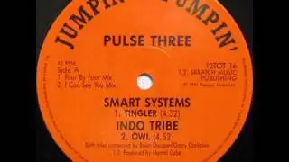Indo Tribe - Owl (Pulse Three - Jumpin' & Pumpin' - 1991)