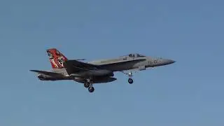 TIGER MEET COLORS TLP 2019-1 Spain Air Force McDonnell Douglas E-18M Hornet (15-01) Landing Albacete