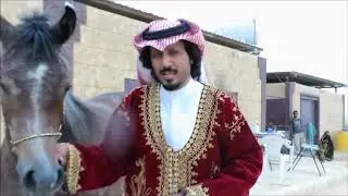 قصص من تاريخ الخيول العربية حسان الجهني عبيد العوني  Arabian Horse