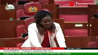 Drama in Parliament as a female MP from West Pokot become emotional while talking about bandits!😭 😭
