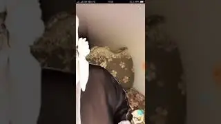 New Sexy Saudi  Imo Live Video Call See Imo Bigo TikTok Live Video Call Plz Subscribe My Channel