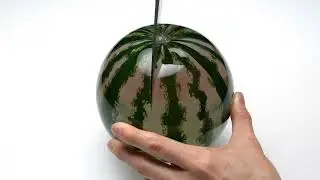 Cutting gem watermelon  #ASMR #AiSMR #KnifeCut #Satisfying #OddlySatisfying #satisfying #satisfyingv