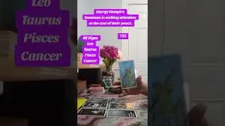 Energy Vampire someone is seeking attention at the cost of their peace Collective Message 