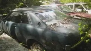 AUTO GRAVEYARD. Part 2 (Car Cemetery Auto Friedhof)