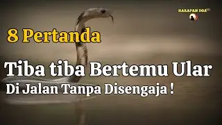 8 Arti Pertanda Bertemu Ular di Jalan Pada Malam Hari, Mitos,  Primbon Jawa