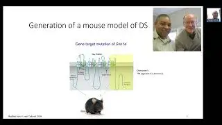 Webinar Dual AAV Gene Therapy Corrects Dravet Syndrome in Mice