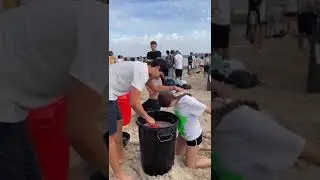 Batismo praxe