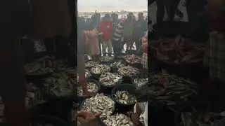 Fish Market So many Buyers buy fresh fish 🐟 #reels #fishing #reels #seafood #catching