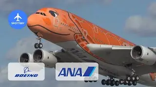 ANA FLYING HONU sea red turtle