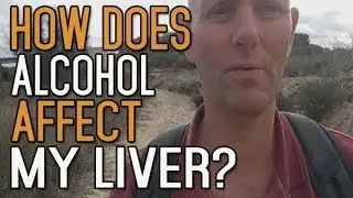 How Does Alcohol Affect My Liver