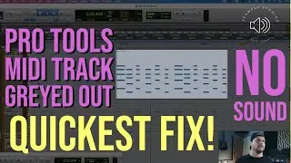 Pro Tools Midi Track Greyed Out(No Audio) - Quickest Fix!